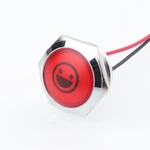WD-L Series Customized Indicators With Wires