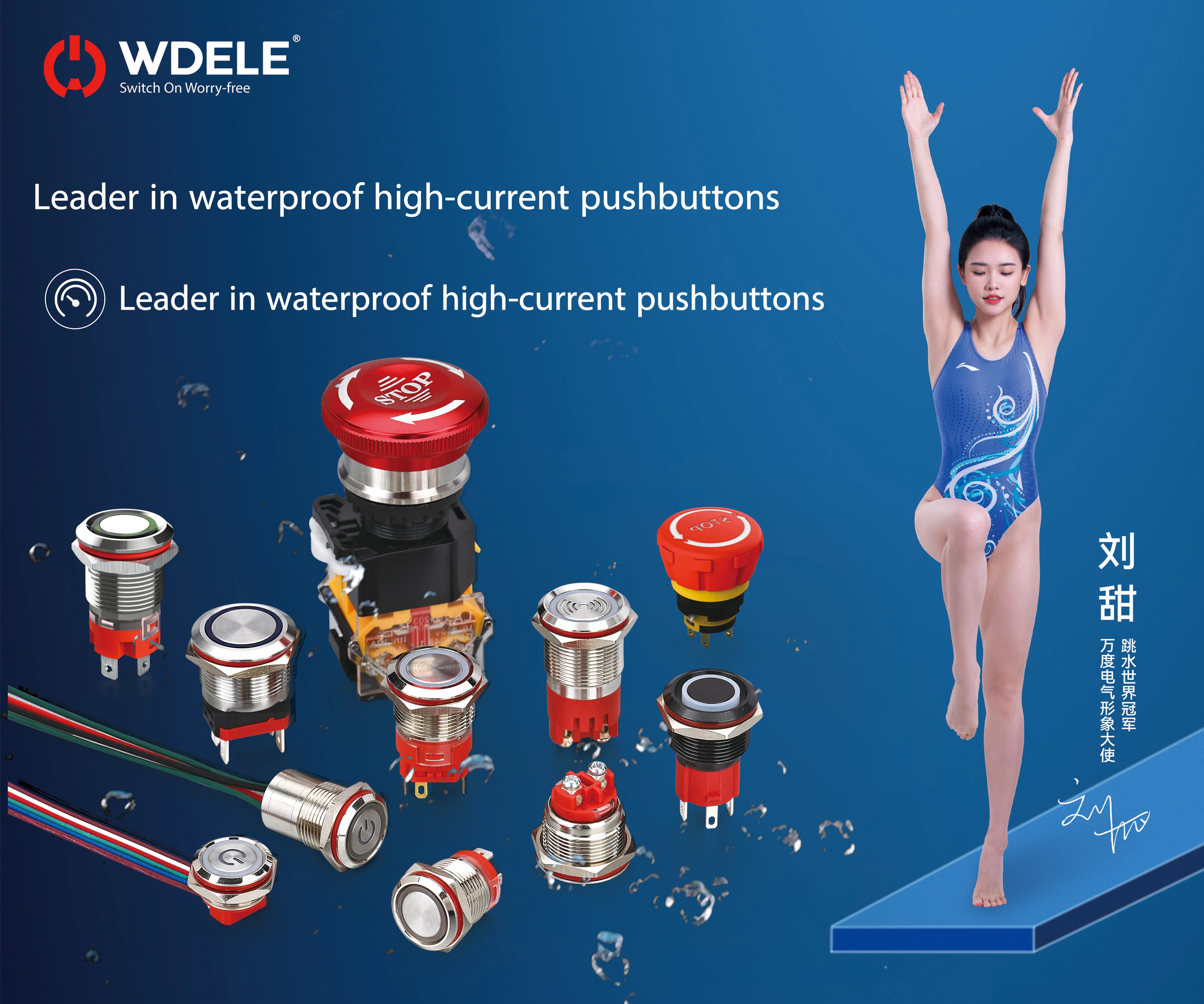 Zhejiang Wandu Electric Co., Ltd