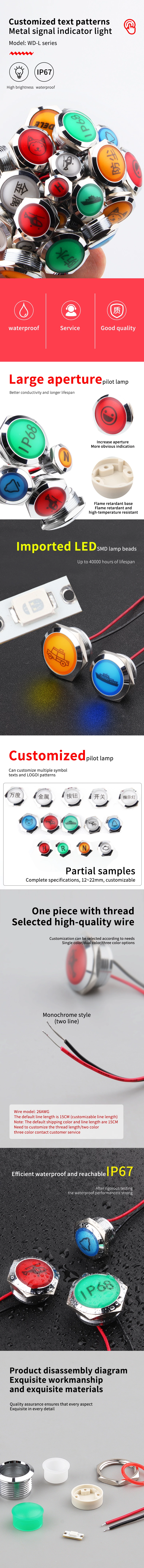 WD-L Series Customized Indicators With Wires