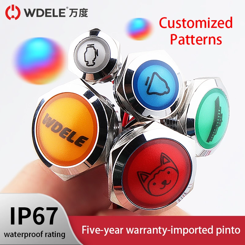 WD-L Series Customized Indicators With Wires